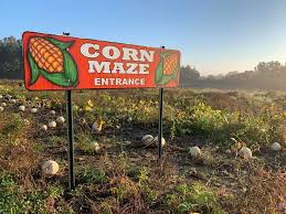 Check out Ruwet Farm for a corn maze this fall!