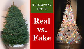 Real or Artificial? The Great Christmas Tree Debate