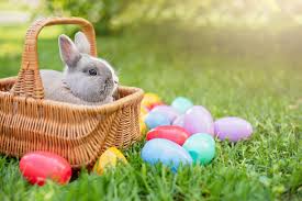 Need Easter Plans? Check out Popular Options