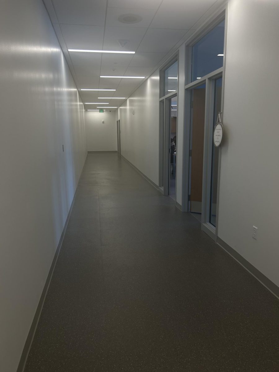 The new health wing of THS, where few have dared to go.