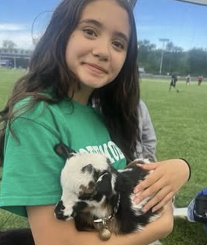 The Baby Goats are Back! 