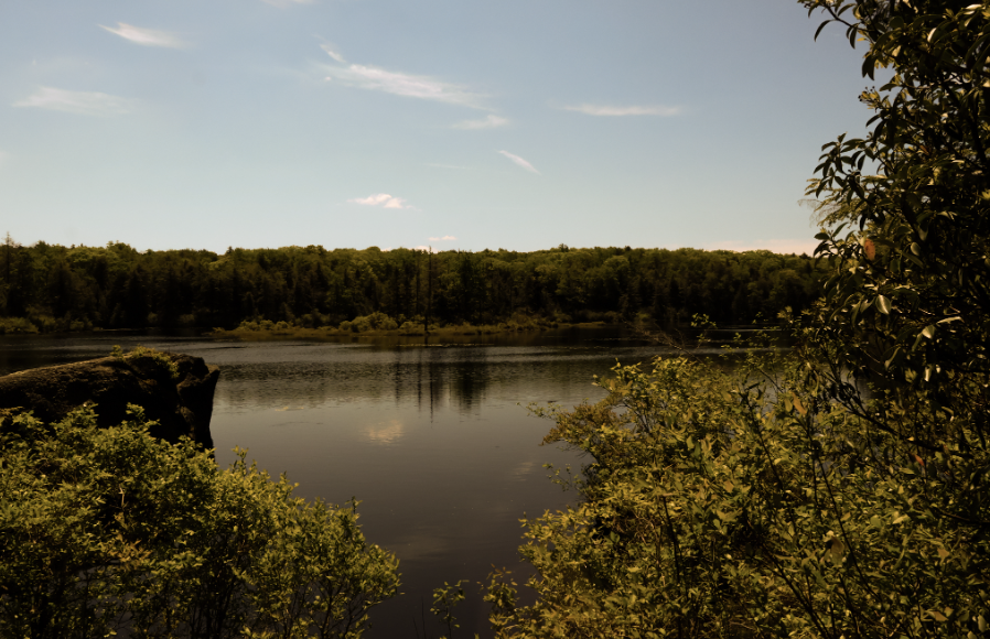 Students in Photography visited Great Mountain Forest to work on their nature photo skills.